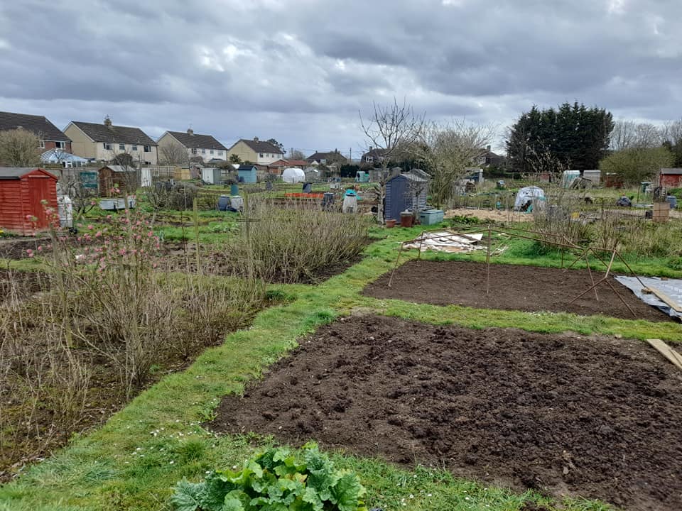Photo of Briansfield Allotments